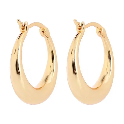 14K Gold Graduated Hoop Earrings