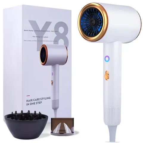 Professional Ionic Hair Dryer